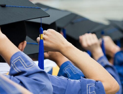 New Appointments at the Institute